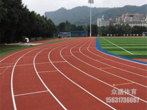 河北省沧州市预制型塑胶跑道