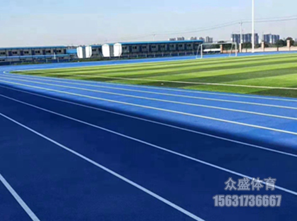 河北沧州全塑型跑道