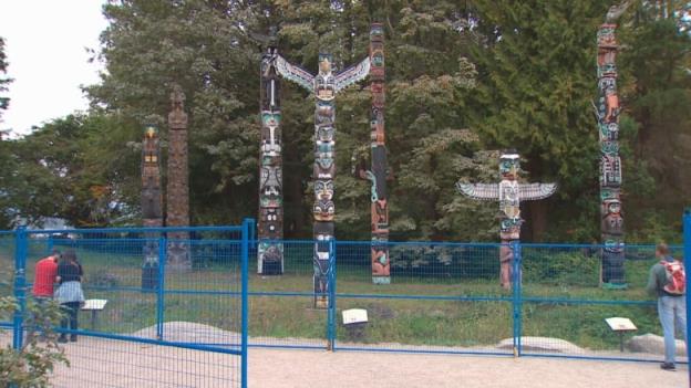A number of totem poles are pictured behind blue fencing in a park.