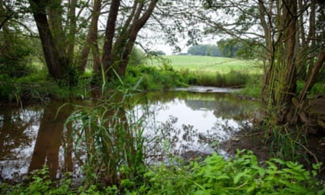 A river running through green fields with trees along the banks