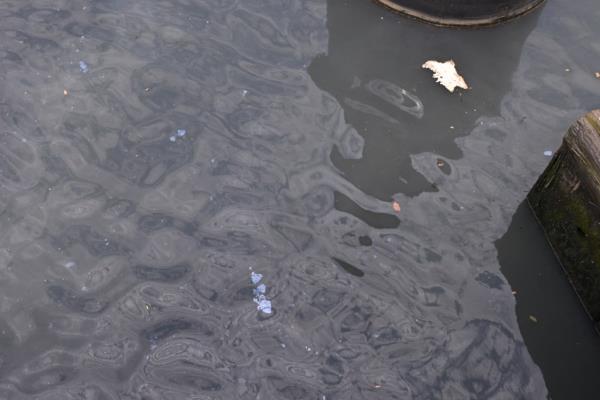 New Co<em></em>nstruction in Gowanus Canal.