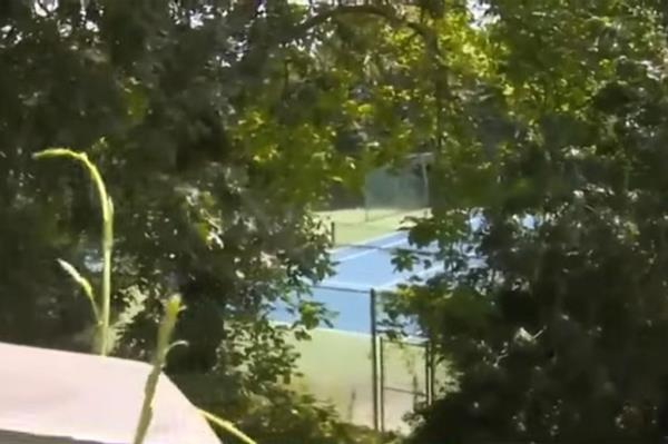 Comeau alleges that the pickleball courts at the Sagamore Beach co<em></em>lony Club, a 100-year-old private tennis club, were "snuck in during COVID" and placed 30 feet from her property line are the culprit to her unsellable house.