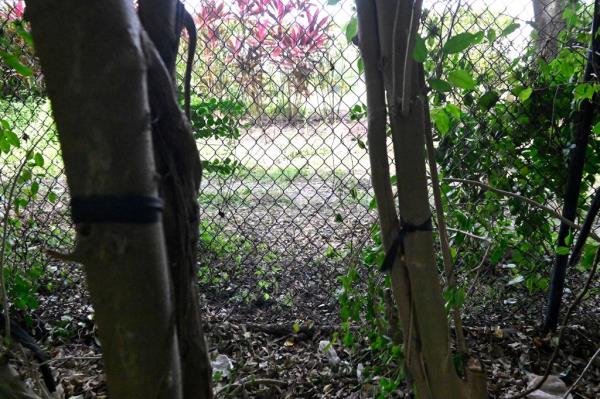 Routh allegedly waited in a sniper's nest for 12 hours before he was spotted by a Secret Service.