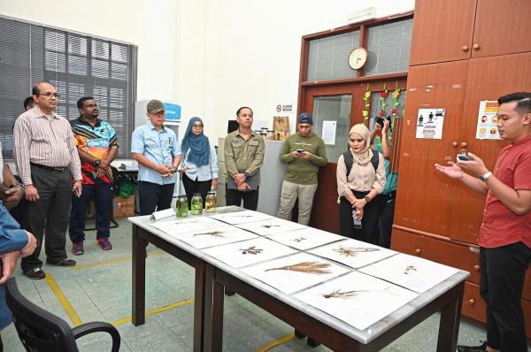 Introduction of the various plant species.