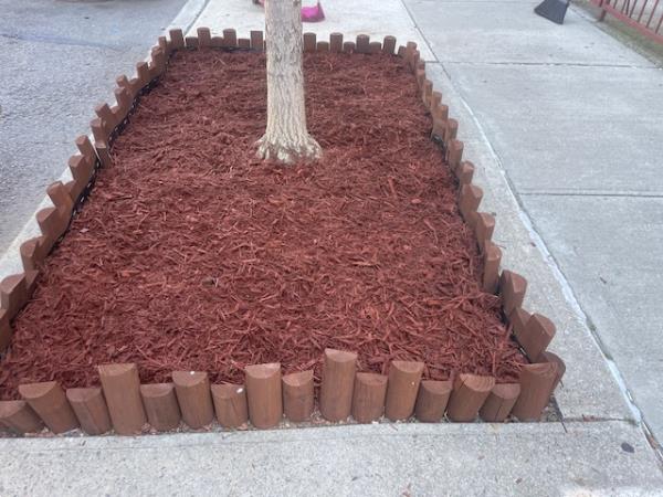 Lesmes has since transformed the littered patch of land into a flourishing tree bed with mulch – do<em></em>nated by co<em></em>ngregants – as well as a small fence to keep the wind from blowing debris into the soil.