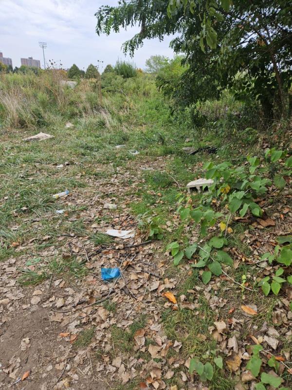 Brooklynite Avani Patel has pledged to maintain Calvert Vaux Park in Brooklyn free of litter for a full year through the new “Adopt Your Spot” program.