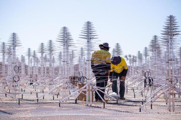 Many tall silvery antennas, each vertical with many branches in a co<em></em>nical shape, with two people.
