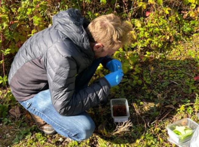 Peter Cooper releases glowworm larvae.