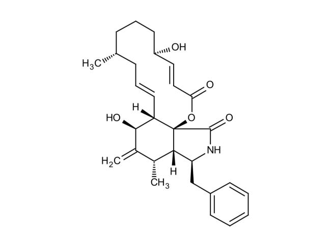 40-facts-a<em></em>bout-cytochalasin