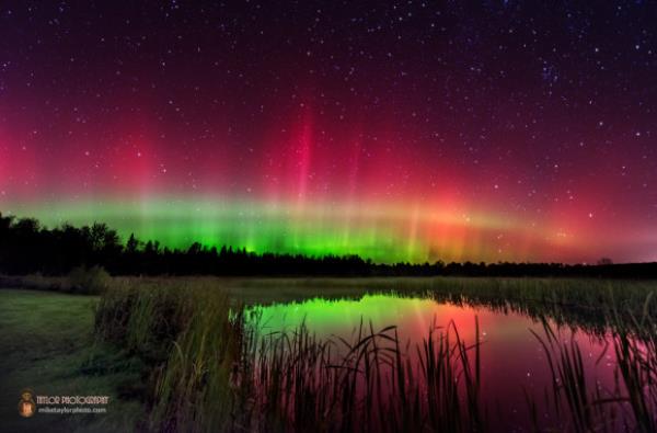 Starry night with a field with water underneath. Vivid green and pink colors are visible in both the sky and reflection in the water.