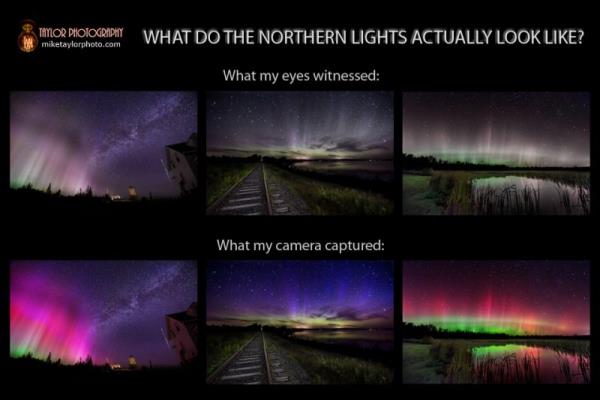 Composition with 3 images at top and 3 at bottom. The top images show grey and pale to<em></em>nes while images at bottom show more colors.