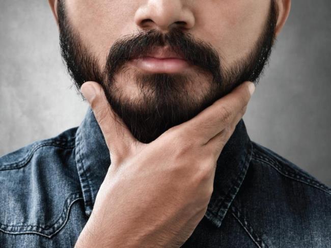 35-facts-a<em></em>bout-longest-beard