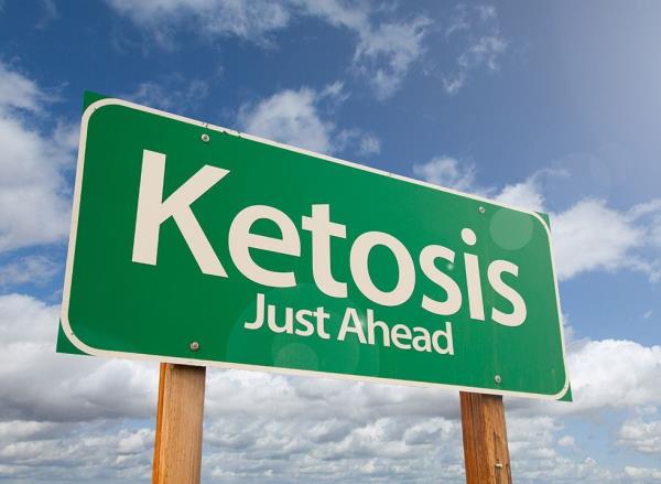 A road sign with the words 'Ketosis Just Ahead' in white text