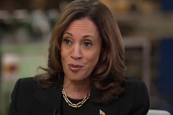 Vice President Kamala Harris sat for an interview with MSNBC's Stephanie Ruhle.