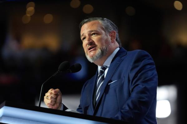 The Democratic Senatorial Campaign Committee has launched a multimillion dollar TV ad but in an effort to defeat vulnerable Republicans in Senate races — including Texas Sen. Ted Cruz.