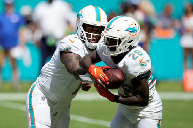 50-facts-a<em></em>bout-miami-dolphins