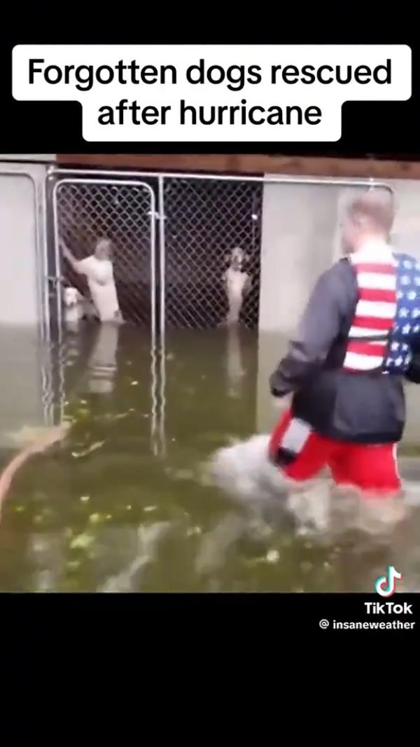 Hidden River Events in Swannanoa, NC, left their animals penned up to die in the floods.