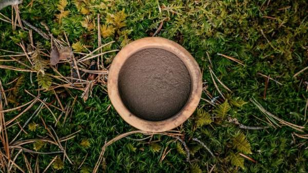 A microbial extract from Finnish forests can heal eczema, biotech startup says