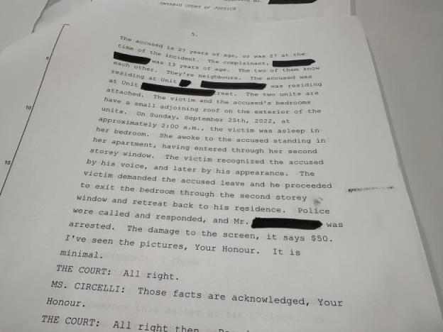 A transcript of the agreed statement of facts read aloud in London court in February 2024, when the accused entered a guilty plea.