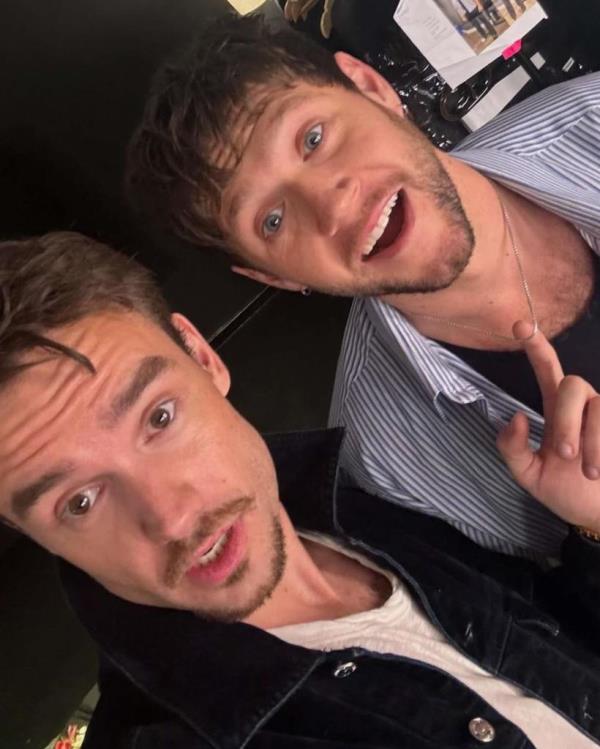Payne, alo<em></em>ngside his girlfriend Kate Cassidy, traveled to Buenos Aries, Argentina to see Horan, 31, perform on Oct. 2.