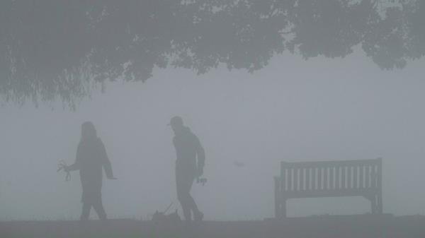 A couple walk their dog in the early morning fog in Bushy Park.
Pic: AP