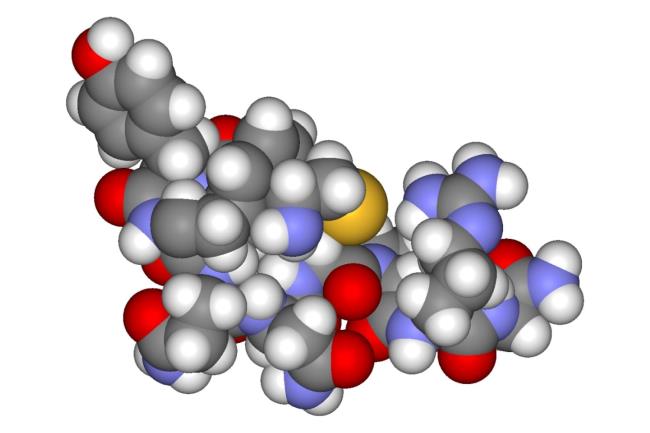 50-facts-a<em></em>bout-vasopressin