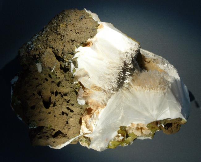 40-facts-a<em></em>bout-gismondine