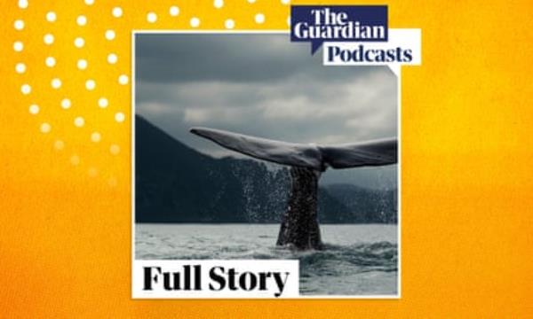 Cover of today’s Full Story showing the tail of a blue whale visible above water as it dives.