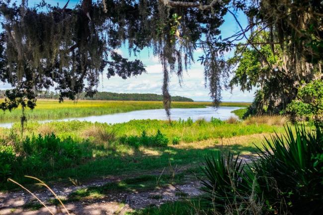 35-facts-a<em></em>bout-sapelo-island