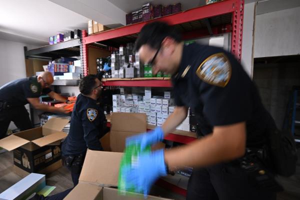 A photo of members of the city Sheriff's office handling cannabis seized in a September raid.