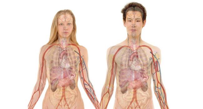 40-facts-a<em></em>bout-zang-fu