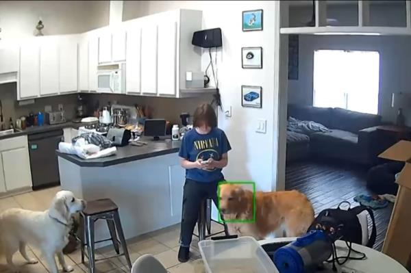 A screengrab of Carly standing in her family kitchen moments after murdering her mother.