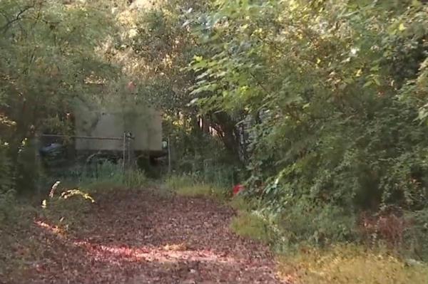 A house with trees in the background, associated with the news story of Atlanta squatters.