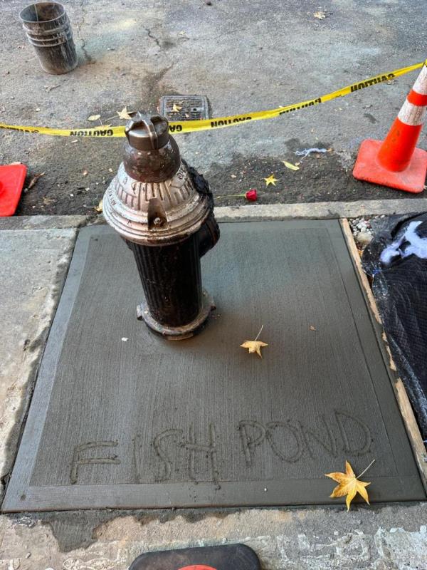 The popular Bed-Stuy street aquarium installed to much acclaim has been filled in with concrete.