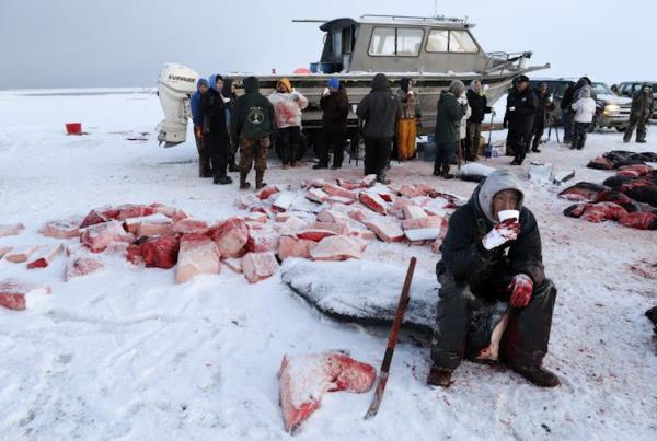 A group of men stand among the bloody remains of a whale.