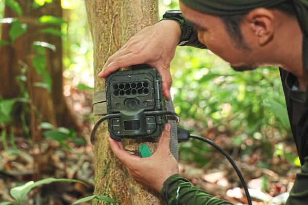 The camera traps used by WWF-Malaysia’s Sarawak Wildlife Co<em></em>nservation Team.