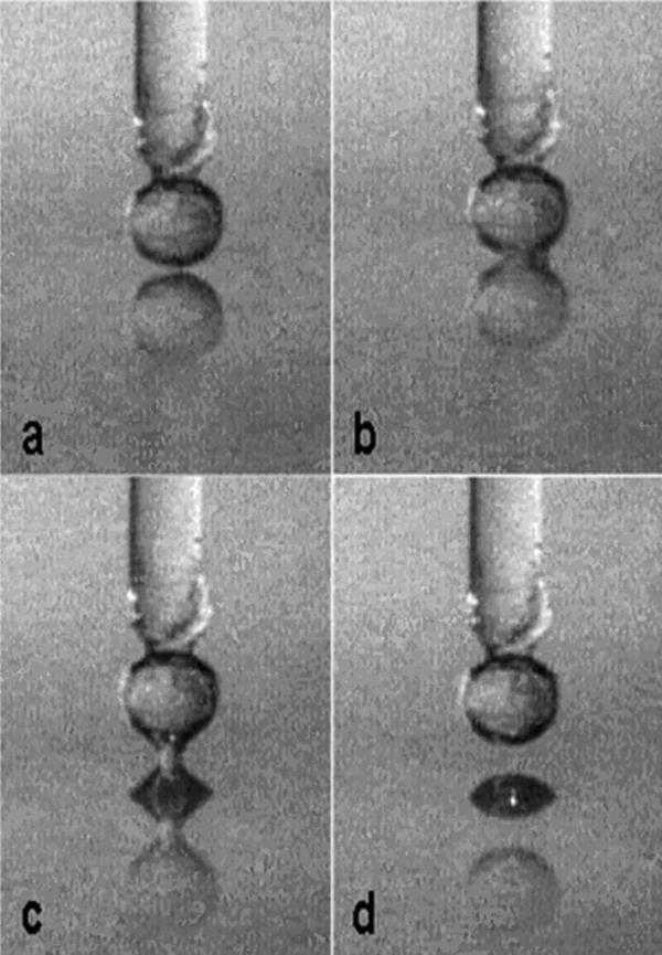 Panel A shows the tip/substrate position just prior to cavitation, which is shown ~33 msec later in Panel B. Panel C shows the cavity meniscus, during tip retraction, one f<em></em>rame prior to its unstable collapse leaving a cavity 